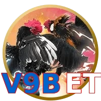 V9BET